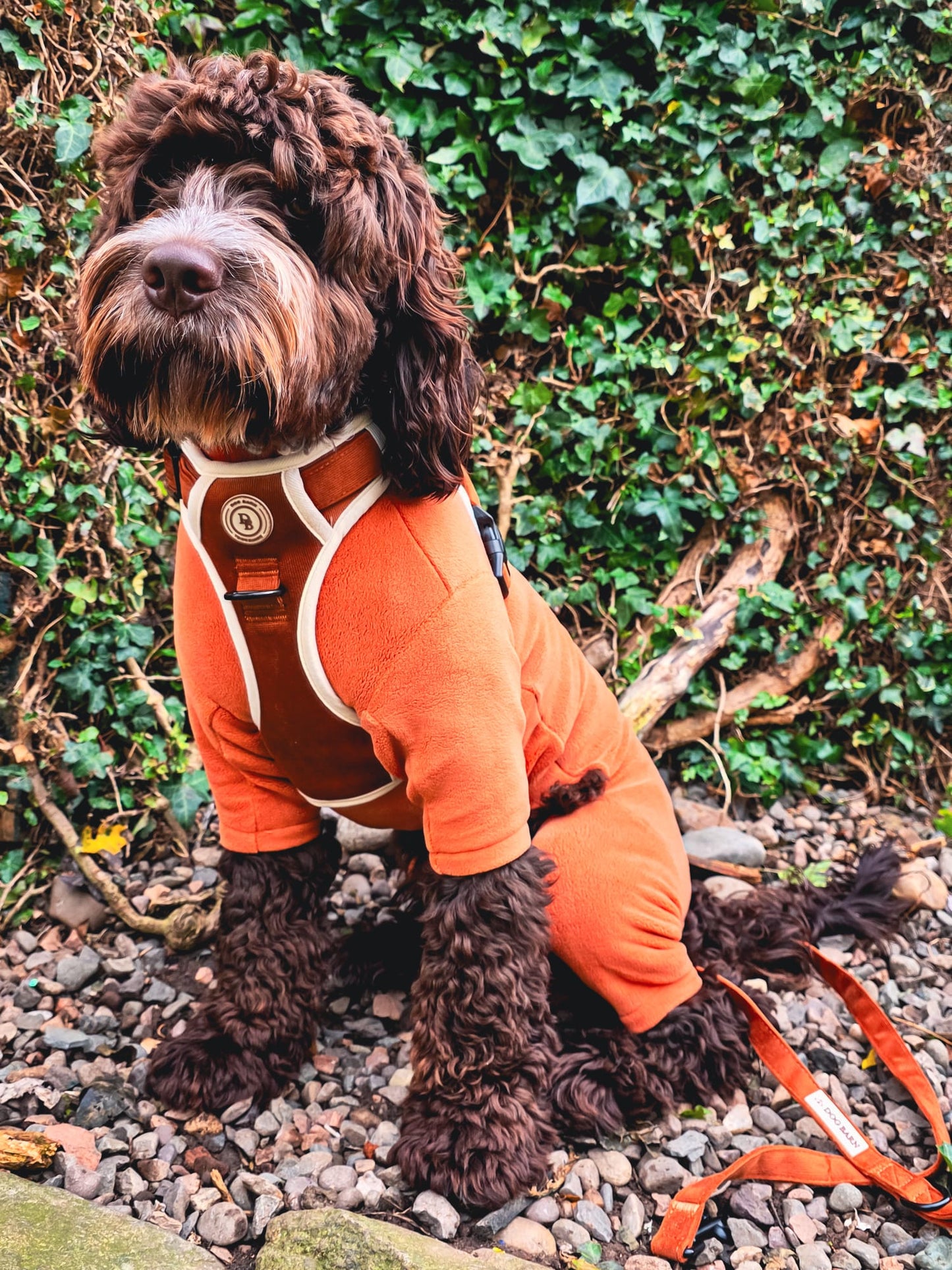Autumn Spice Adventurer Harness