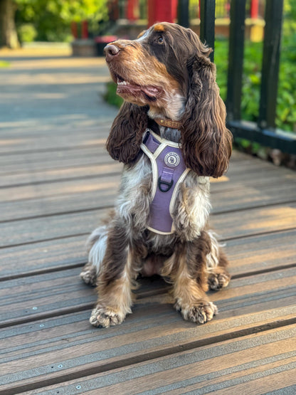 Lavender Meadow Adventurer (Corded) Bundle