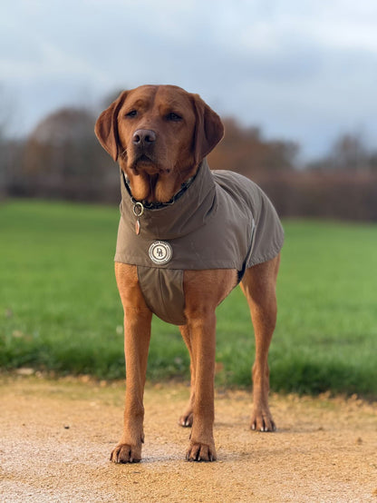 Chestnut Trail Rain Jacket