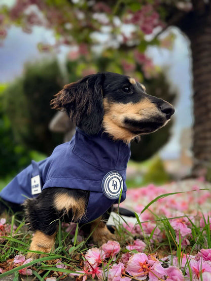 Dachshund Starlit Meadows Rain Jacket