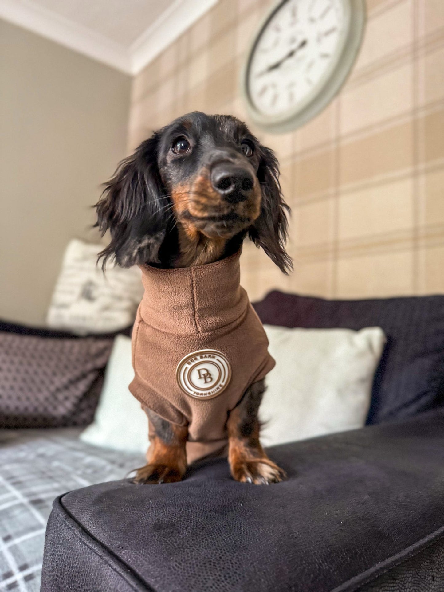 Chestnut Trail Dachshund Fleece