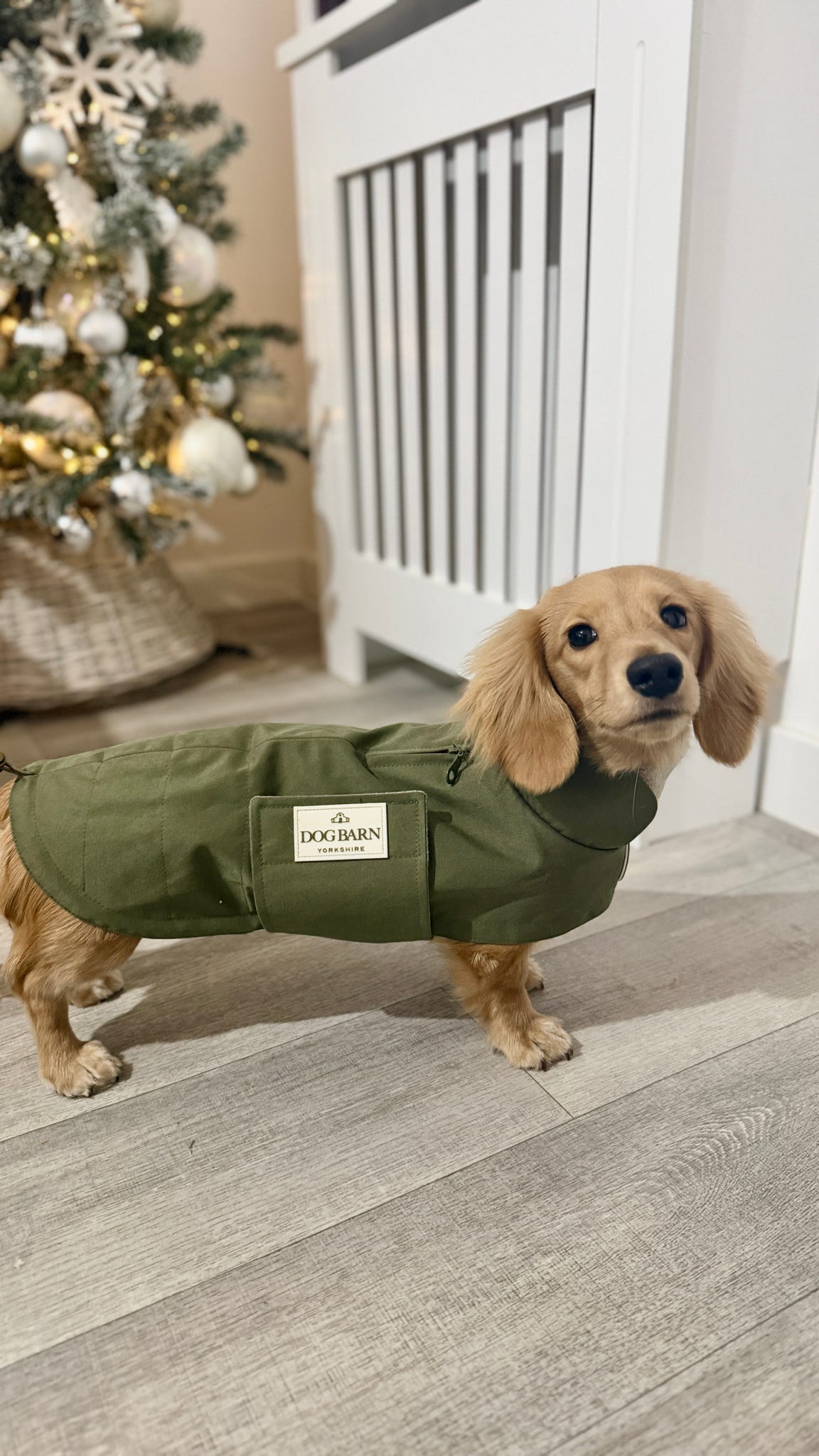Dachshund Forest Glade Winter Rain Jacket (Fleece Lined)