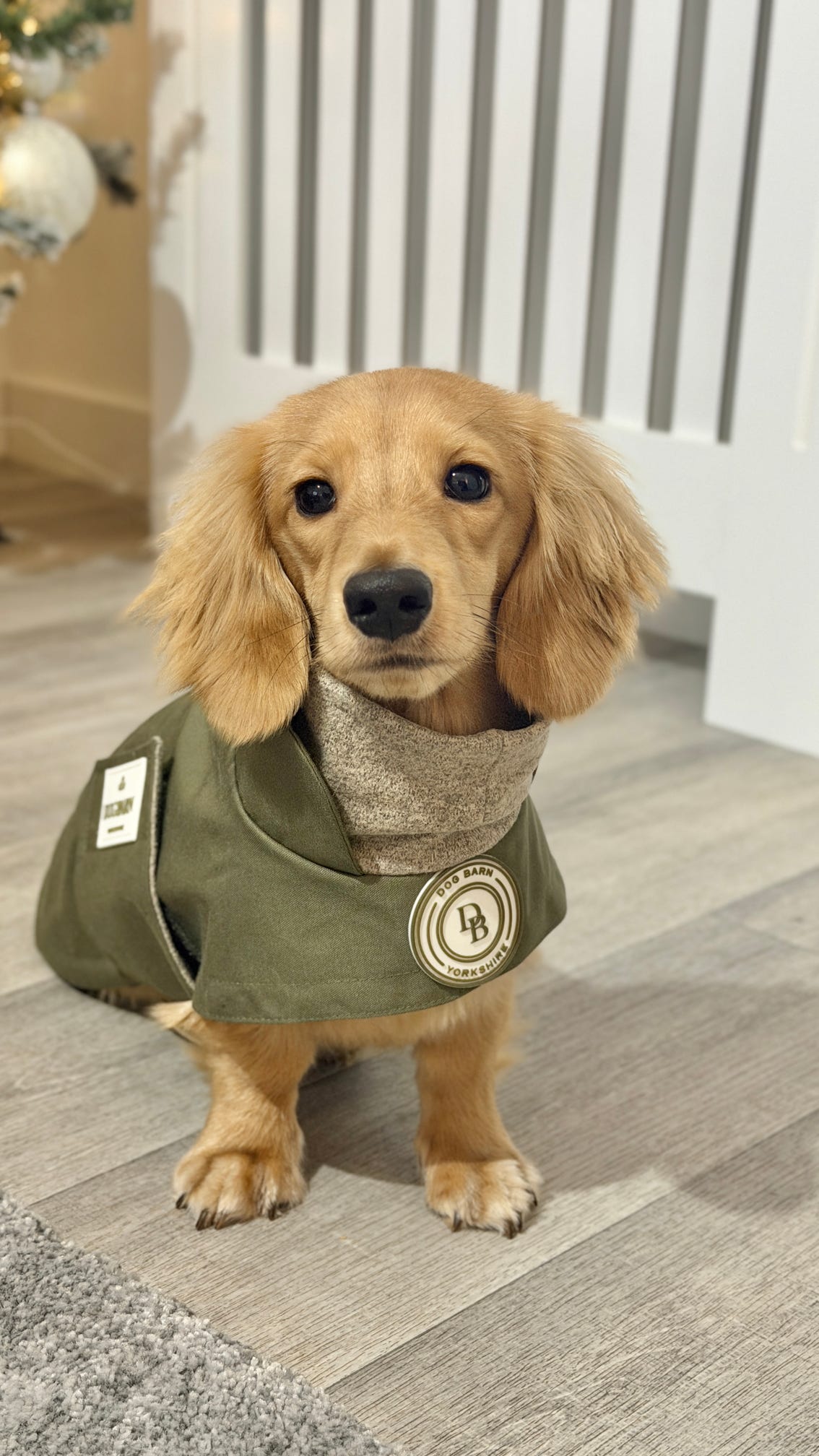 Dachshund Forest Glade Winter Rain Jacket (Fleece Lined)