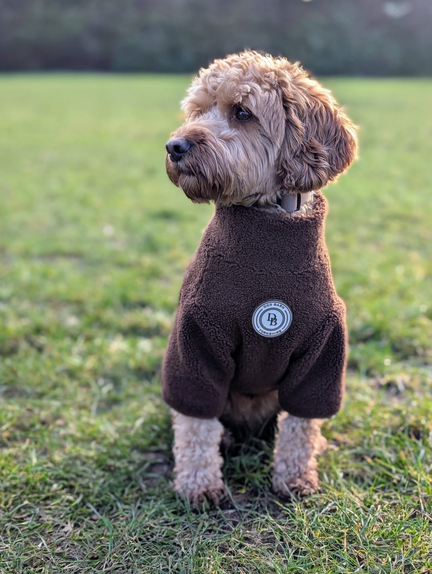 Chestnut Trail Sherpa Jacket