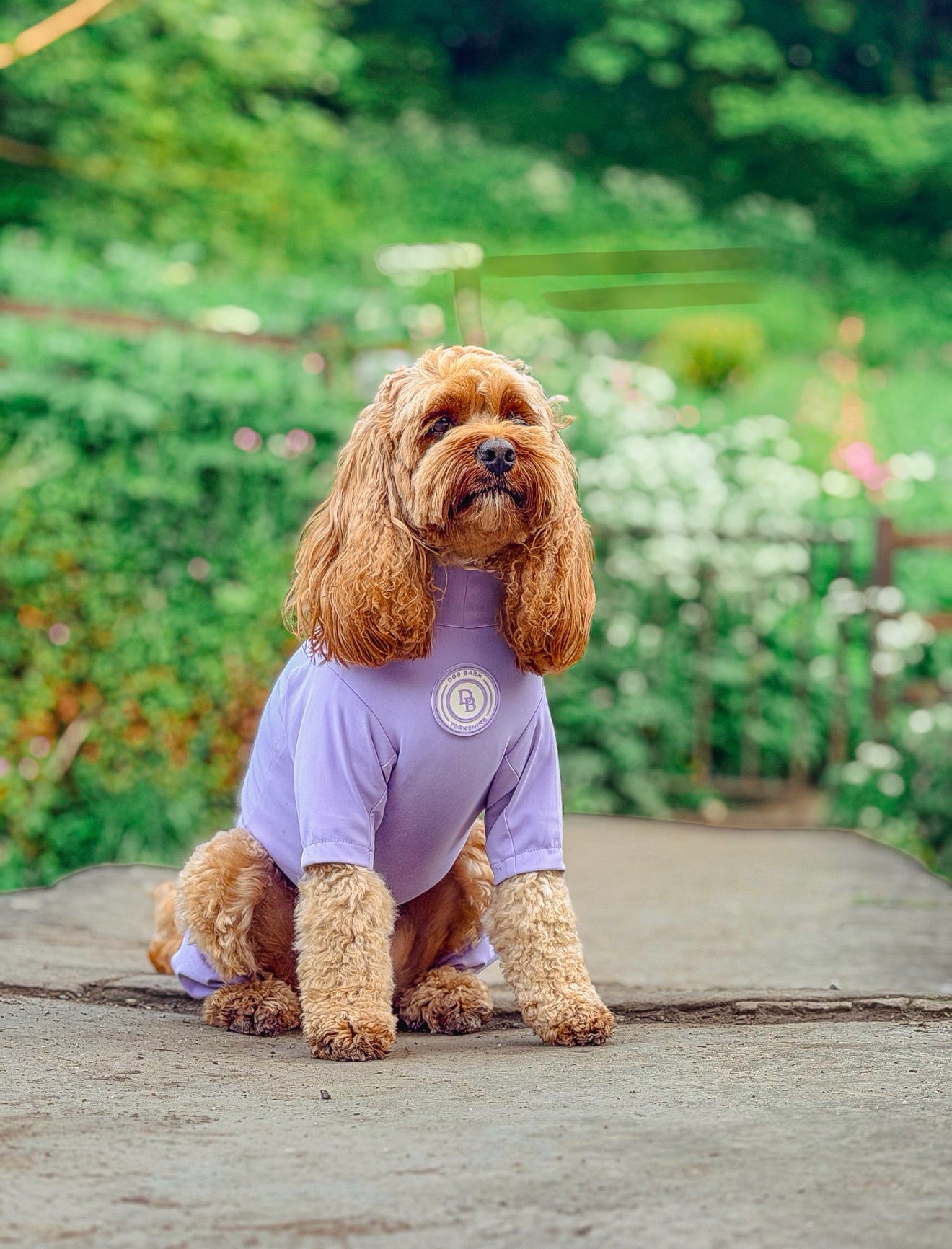 Lavender Meadow Summer Suit