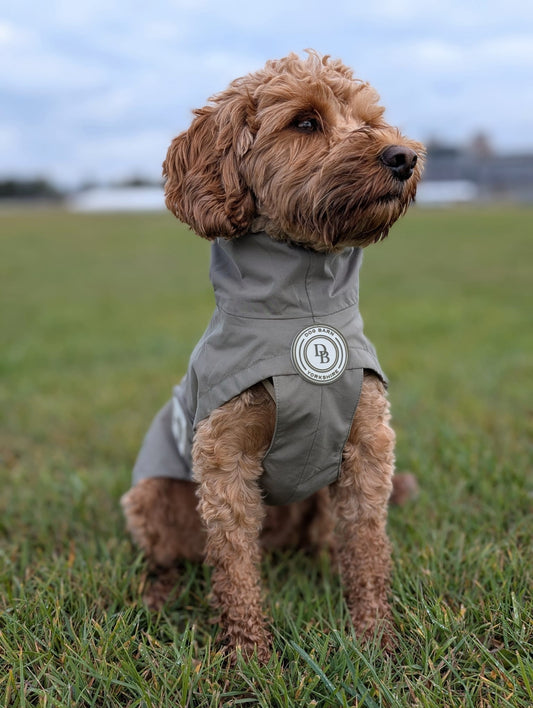 Forest Glade Rain Jacket