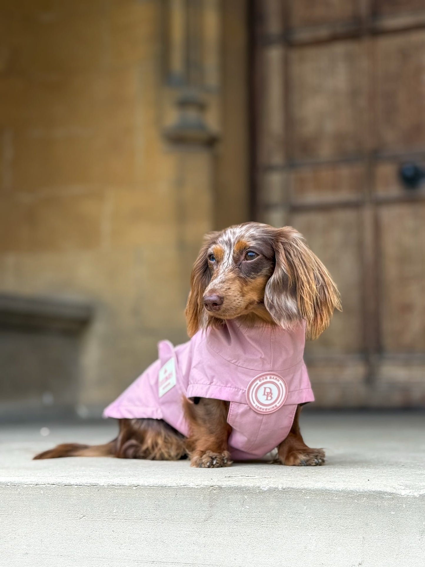 Dachshund Blush Petal Rain Jacket