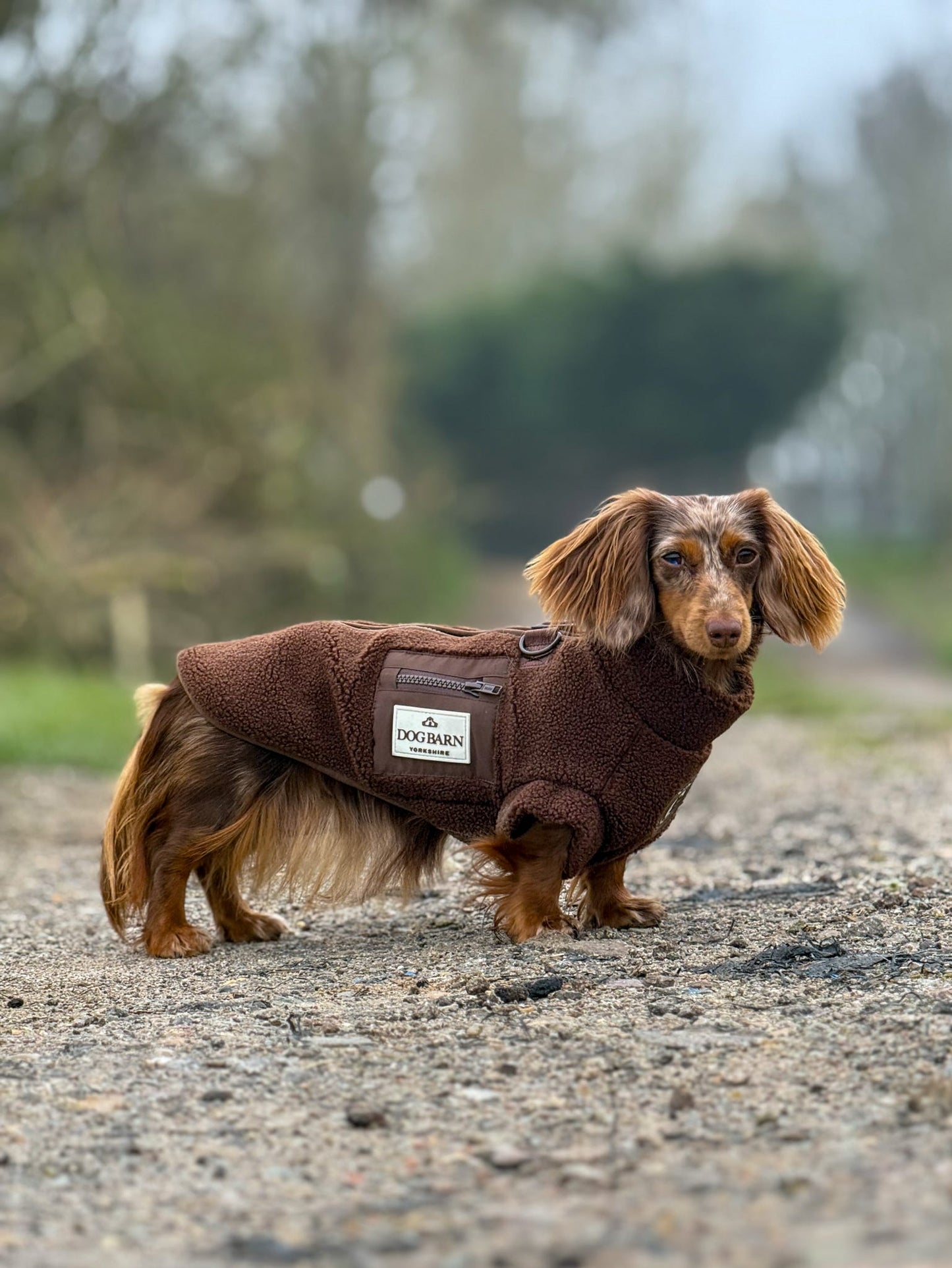 Chestnut Trail Dachshund Sherpa Fleece
