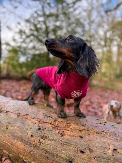 Berry Moors Dachshund Fleece