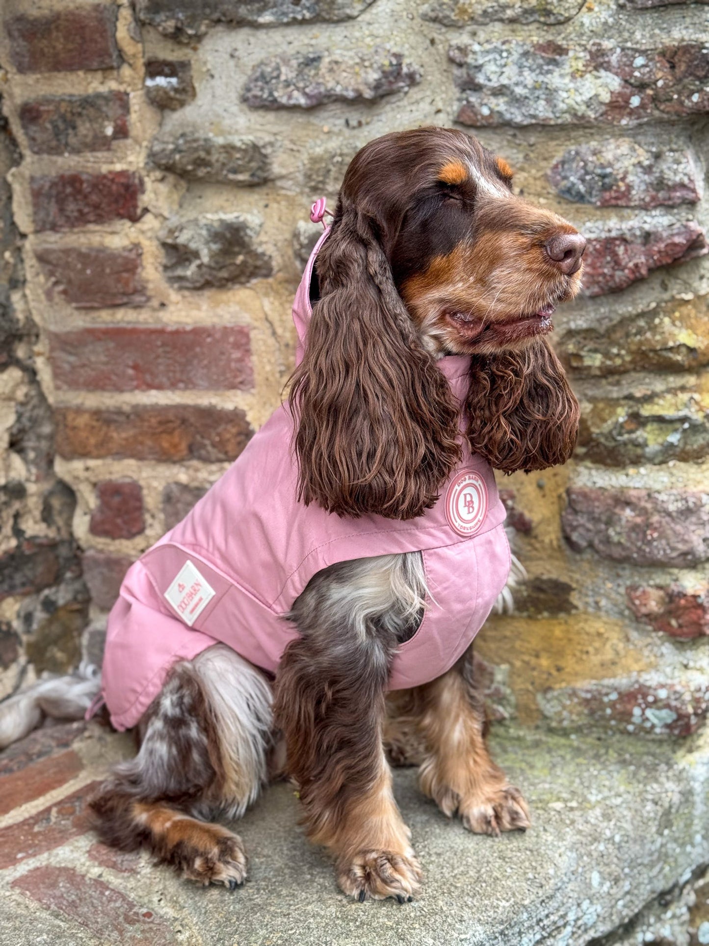 Blush Petal Rain Jacket