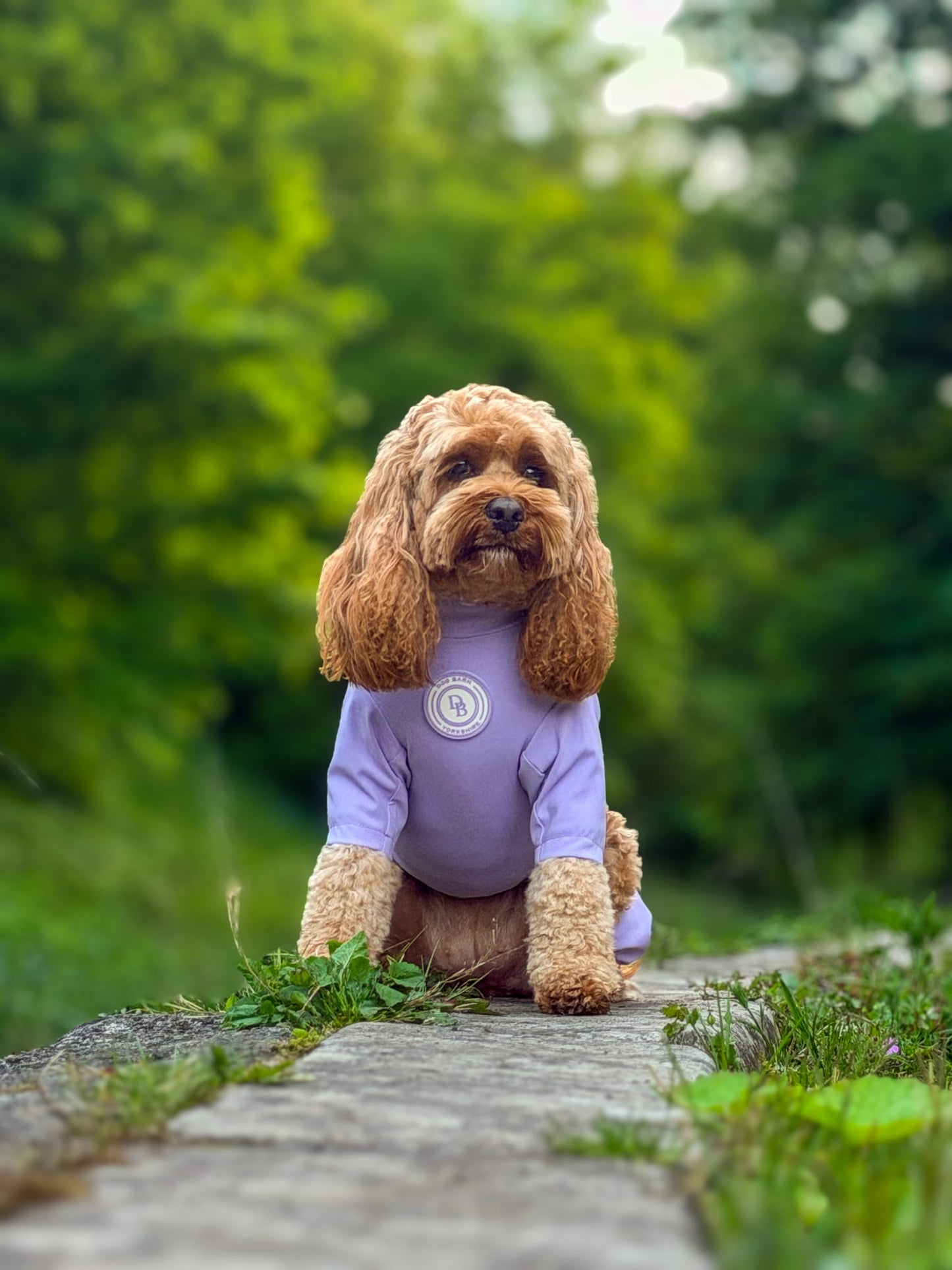 Lavender Meadow Summer Suit