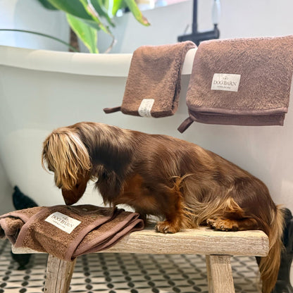 A long-haired brown dachshund sits on a wooden stool in a bathroom setting, with a matching brown towel draped over the stool and two folded brown towels hanging on a rack behind it. The towels have a visible 'The Dog Barn' label.
