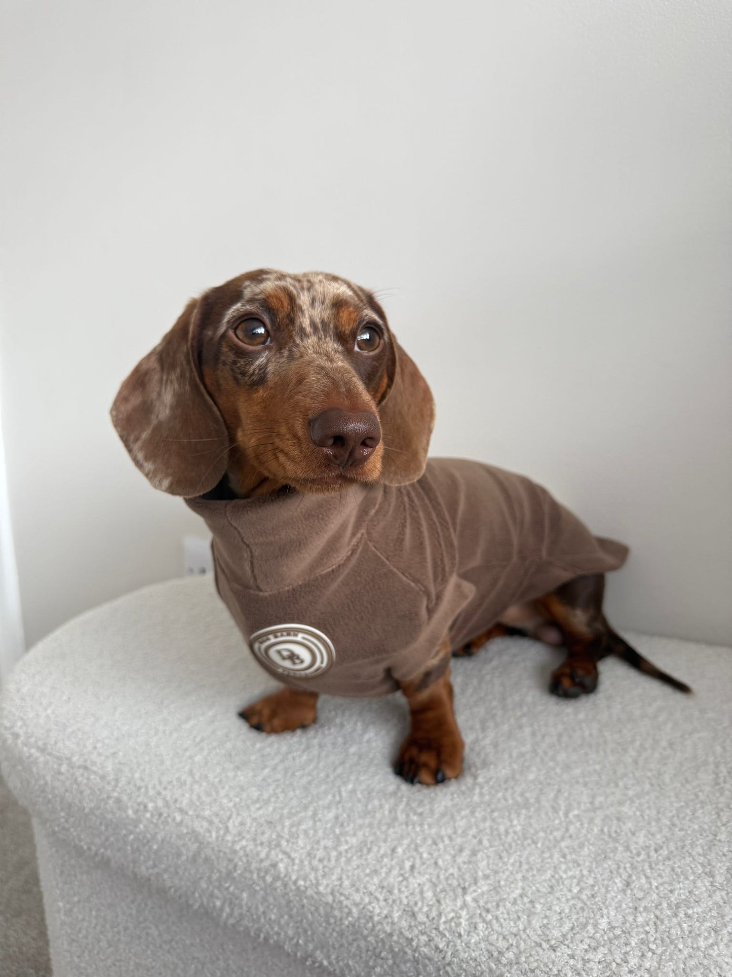 Chestnut Trail Dachshund Fleece