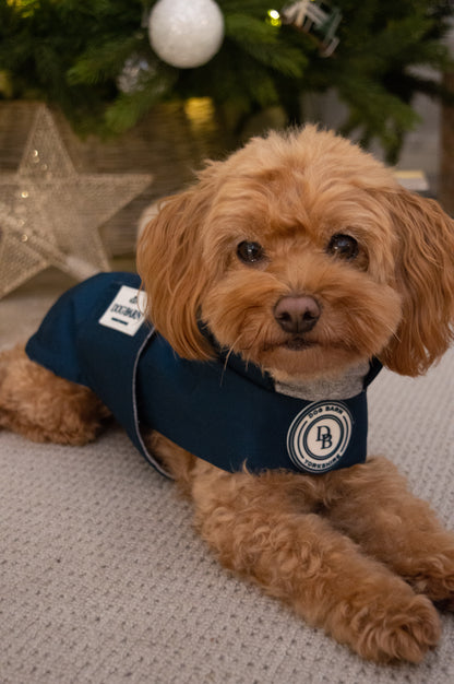 Starlit Meadow Winter Rain Jacket (Fleece Lined)