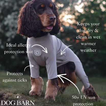 Dog wearing a protective suit with text highlighting its features, set against a natural background.
