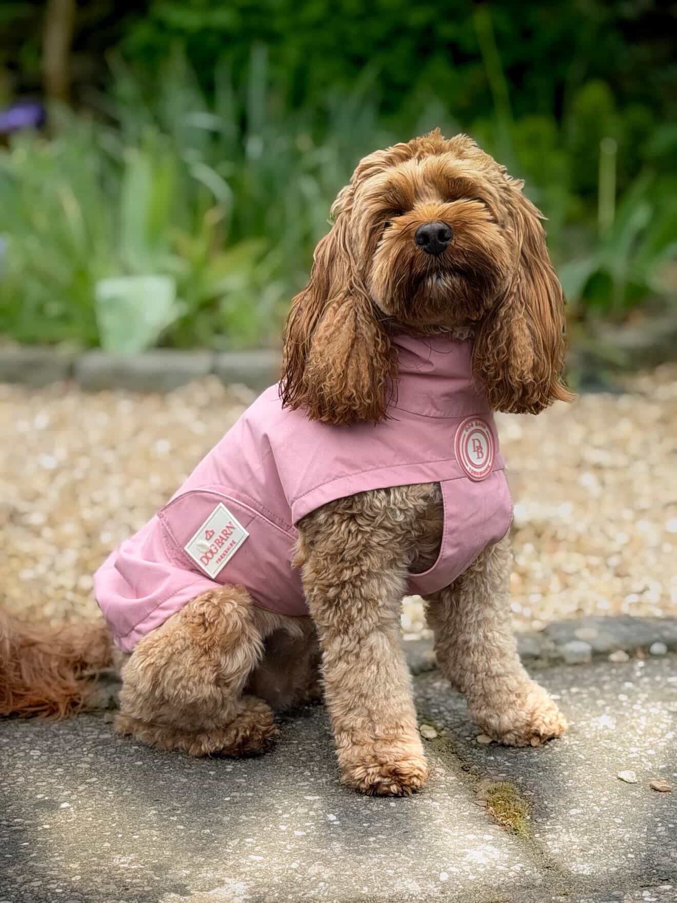 Blush Petal Rain Jacket
