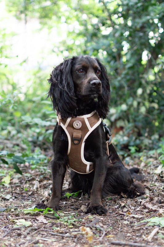 Chestnut Trail Adventurer Harness (Corded Material)