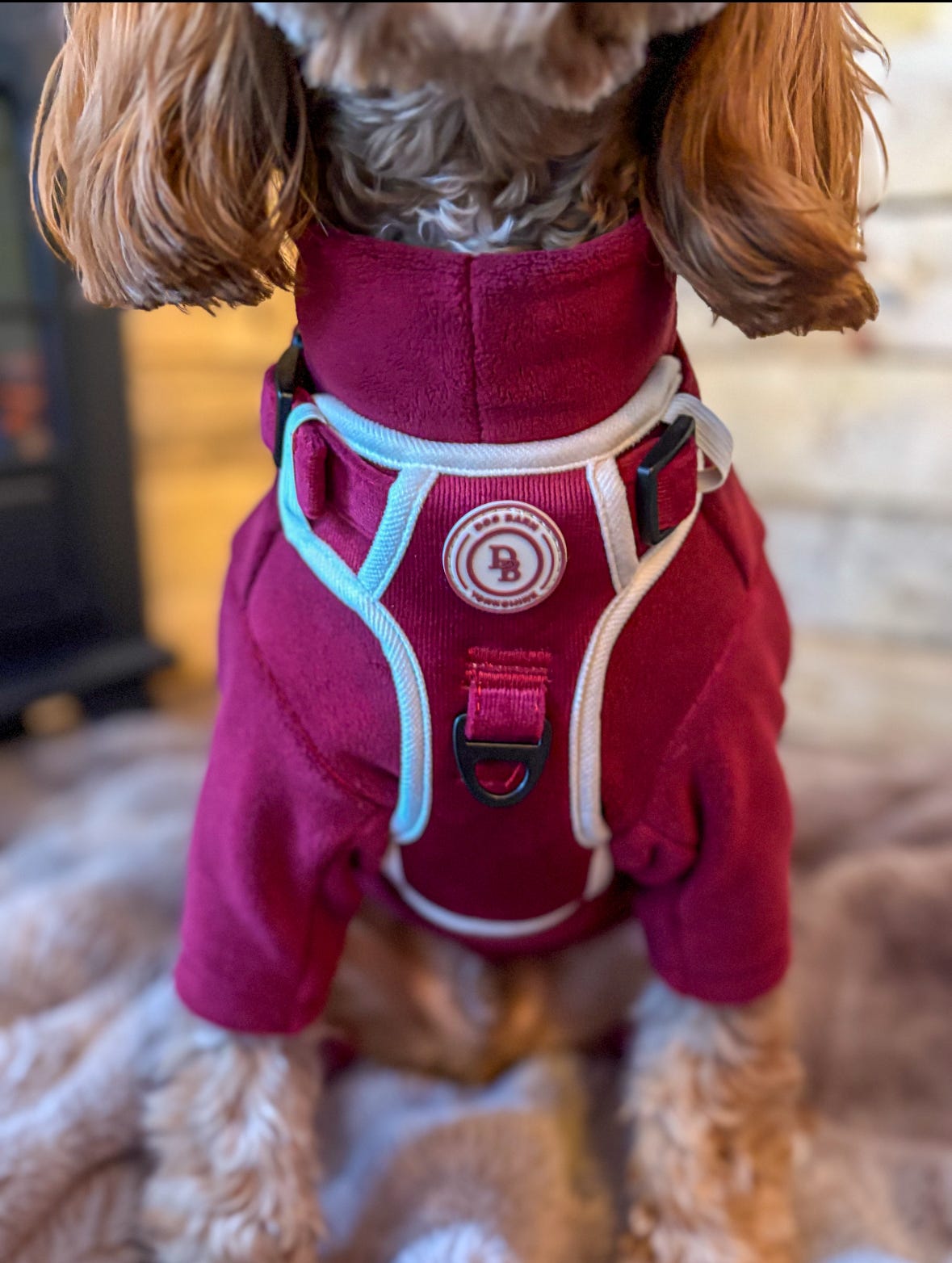 Berry Moors Adventurer Harness (Corded Material)