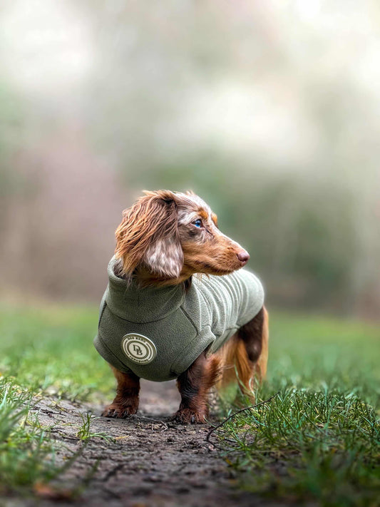 Forest Glade Dachshund Fleece