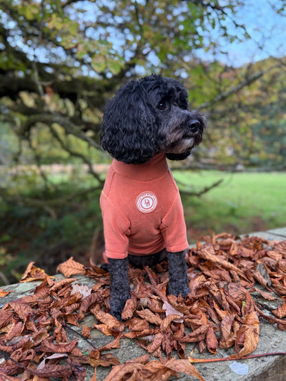 Pumpkin Spice Fleece Suit
