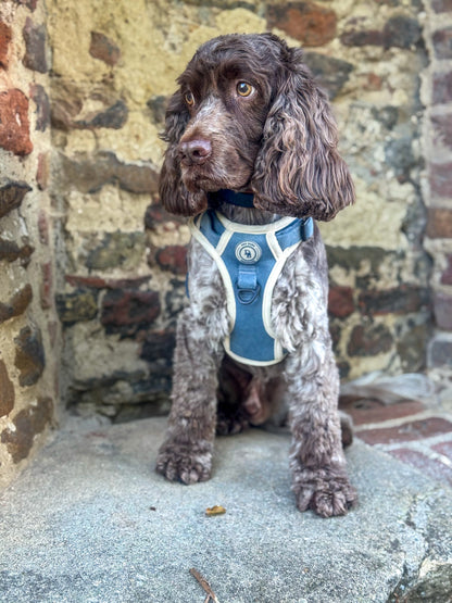 Blue Sky Moor Adventurer (Corded) Bundle