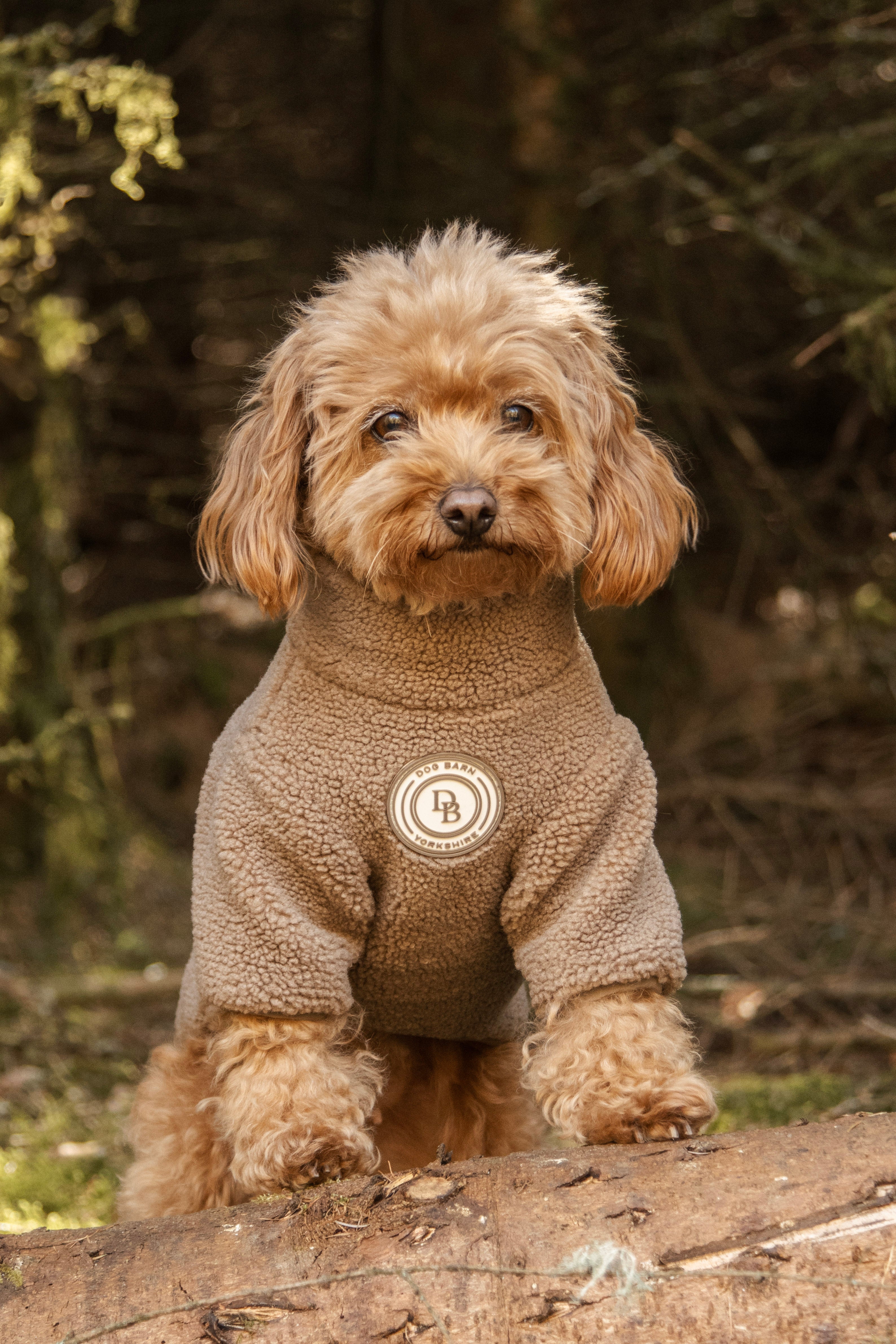 Truffle Dusk Sherpa Jacket – Dog Barn Yorkshire