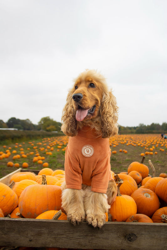 Pumpkin Spice Fleece Suit