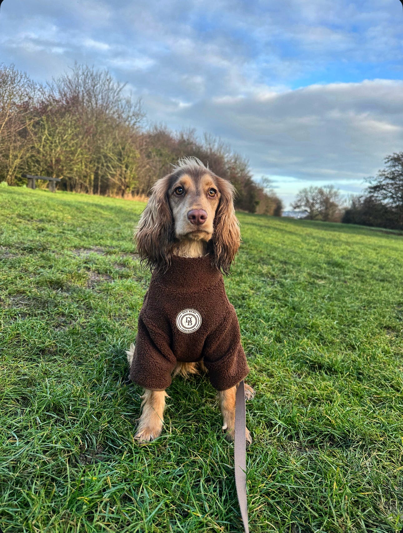 Chestnut Trail Sherpa Jacket