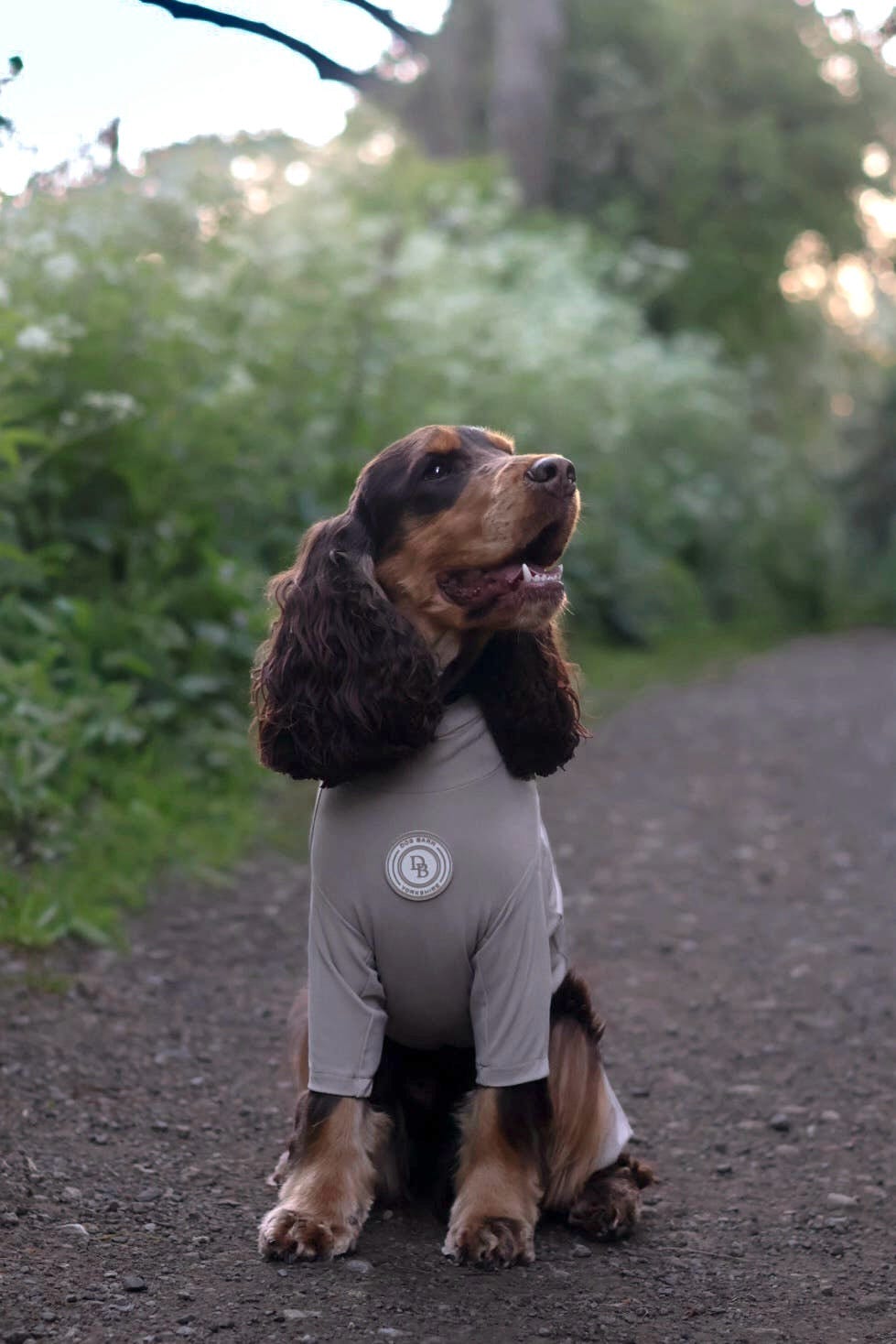 Truffle Dusk Summer Suit