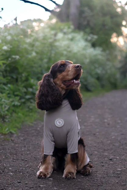 Truffle Dusk Summer Suit