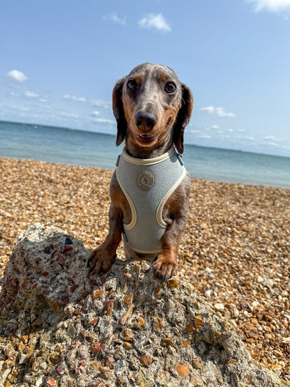 Duck Egg Vale Tweed Harness