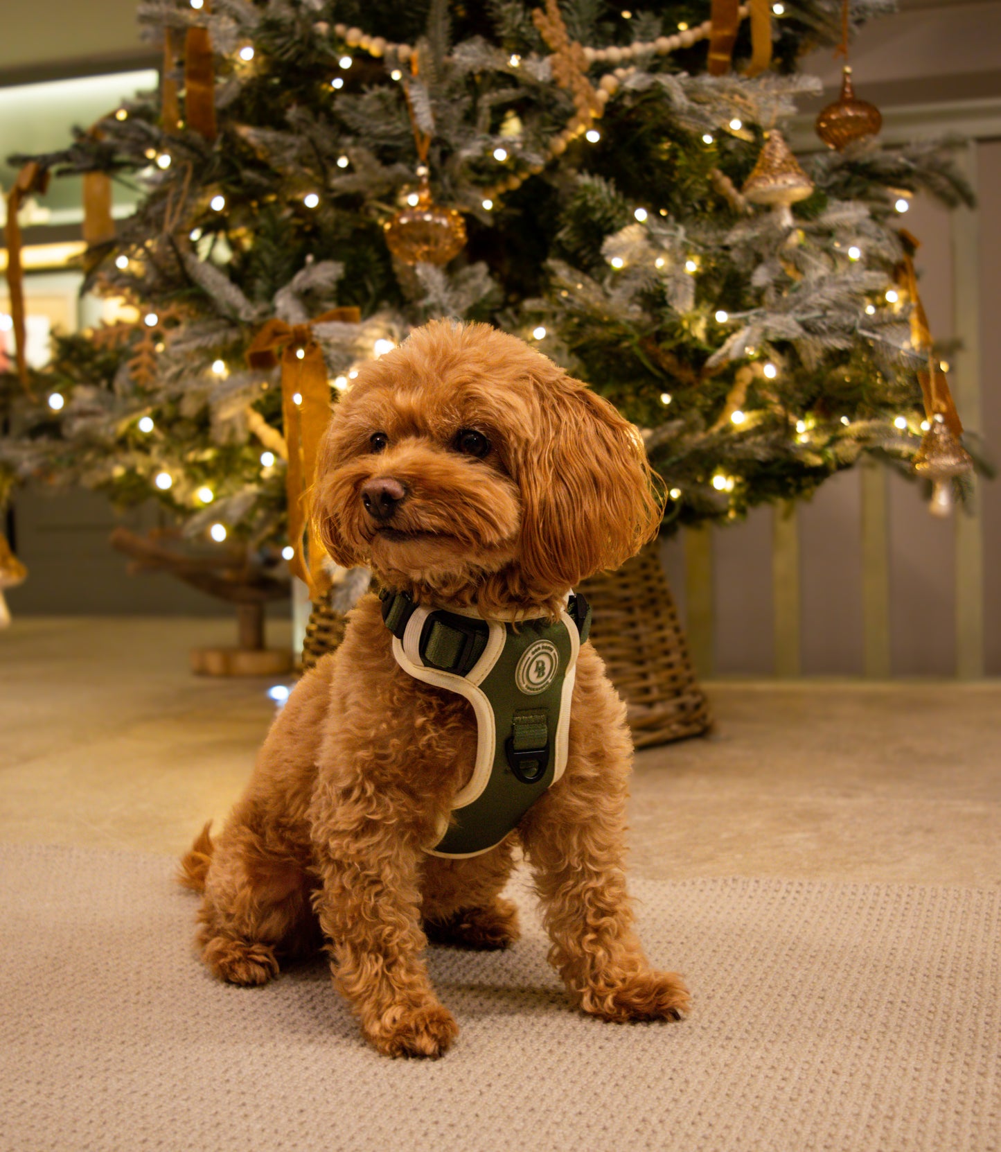 Forest Glade Adventurer Harness