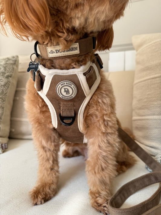 Chestnut Trail Adventurer Collar