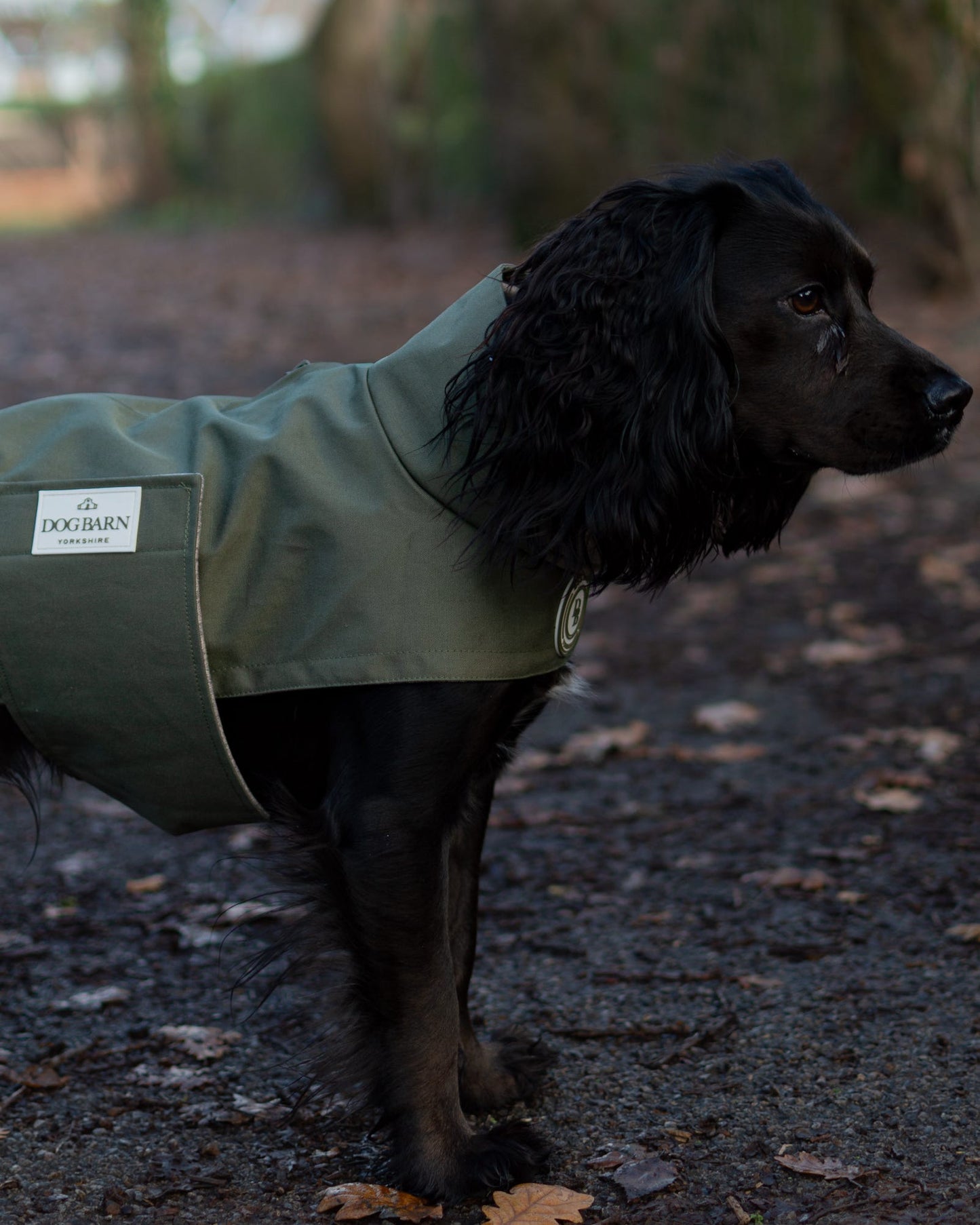 Forest Glade Winter Rain Jacket (Fleece Lined)