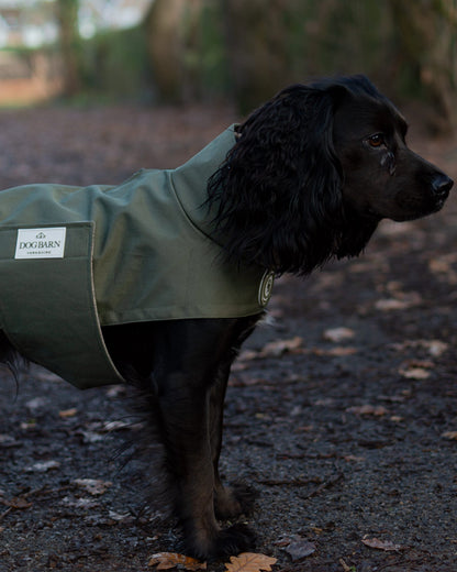 Forest Glade Winter Rain Jacket (Fleece Lined)