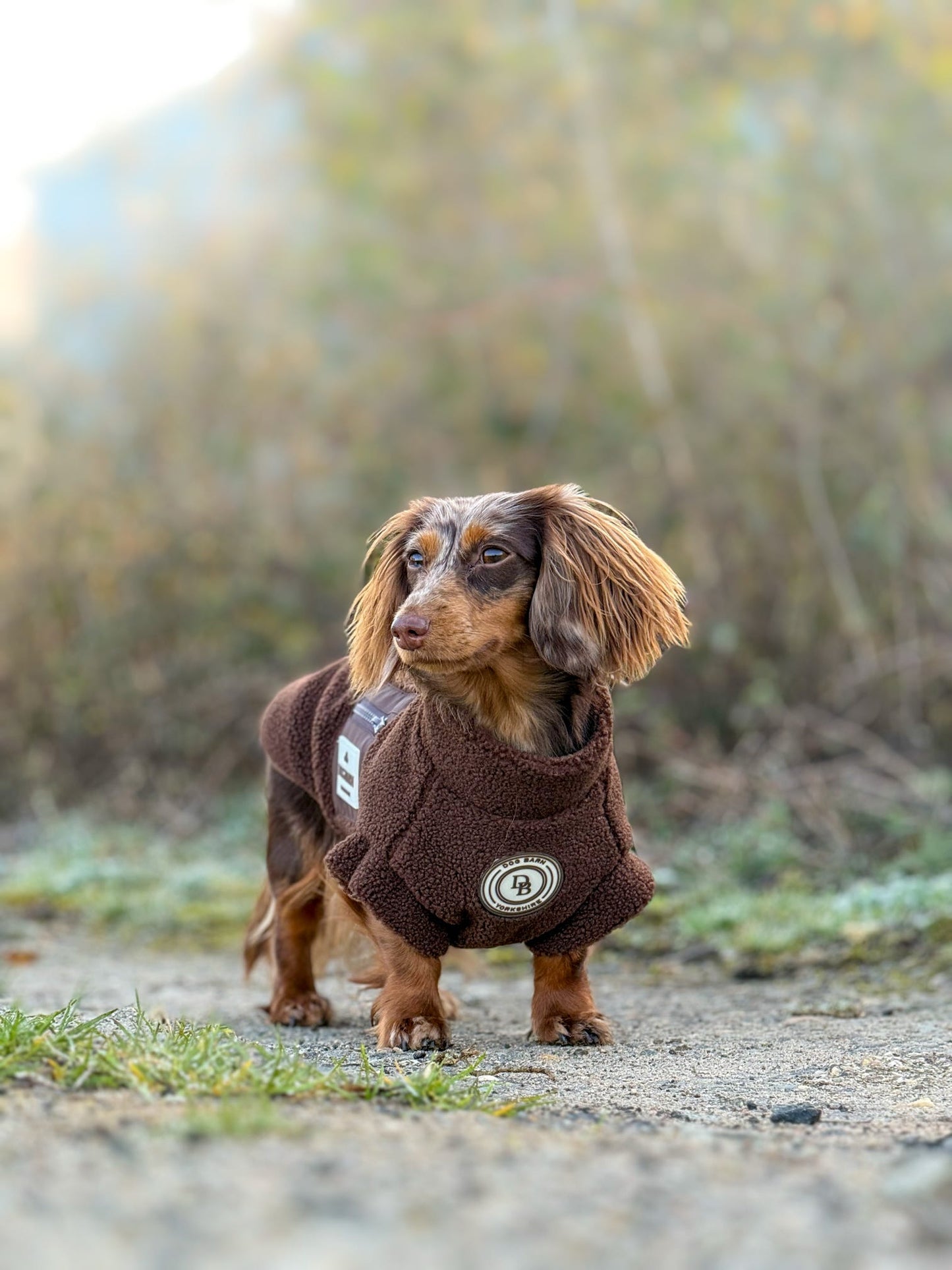 Chestnut Trail Dachshund Sherpa Fleece