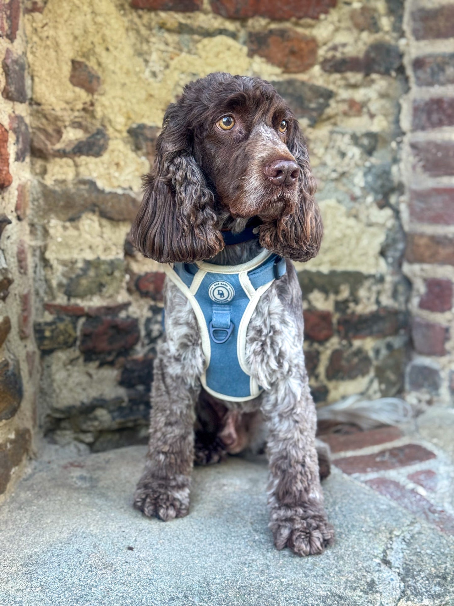 Blue Sky Moor Adventurer (Corded) Bundle