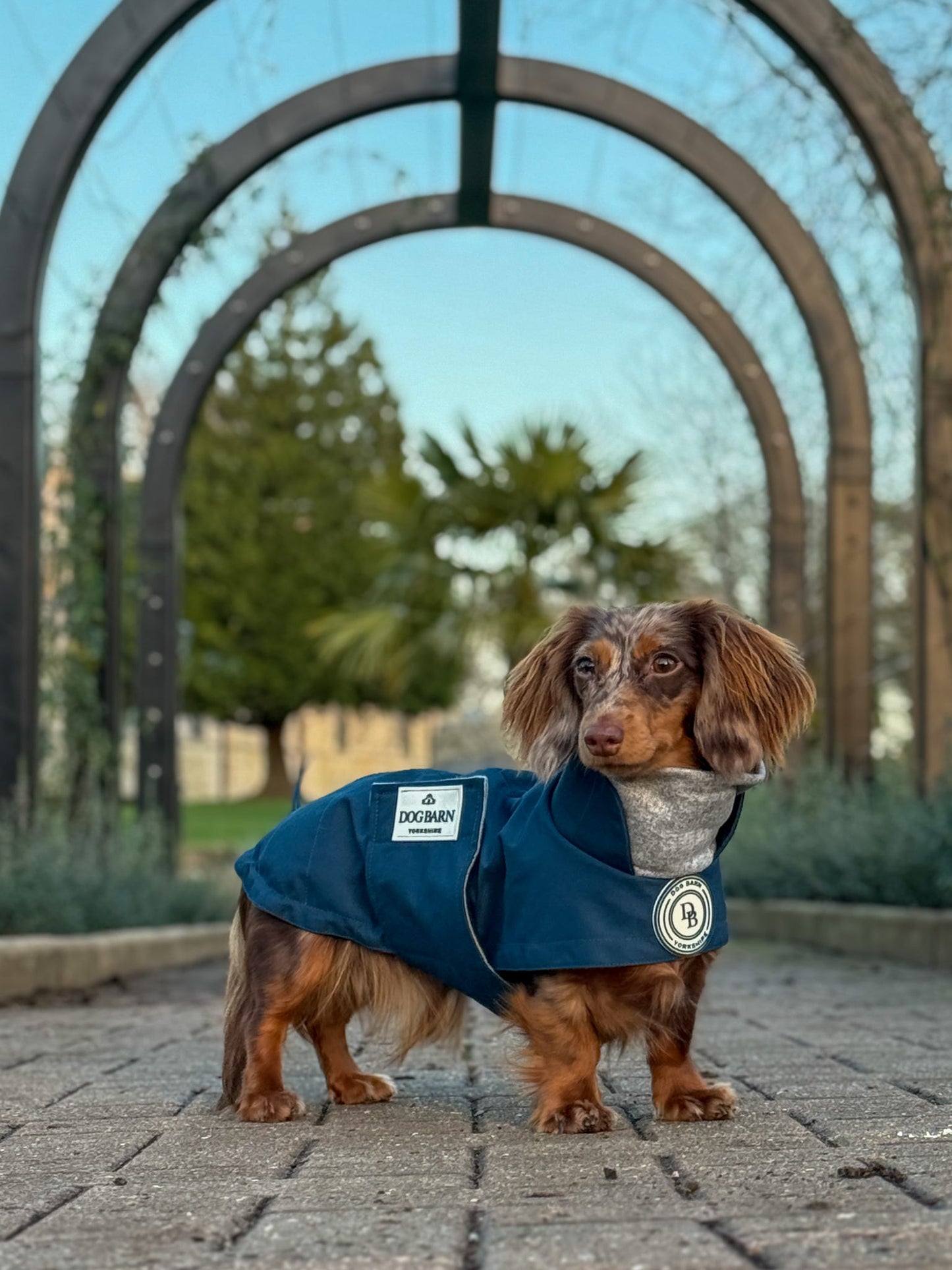 Dachshund Starlit Meadow Winter Rain Jacket (Fleece Lined)