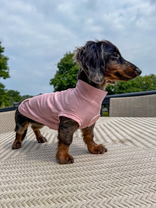 Dachshund Blush Petal Summer T Shirt