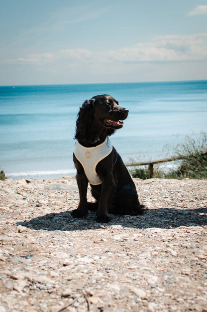 Duck Egg Vale Tweed Harness
