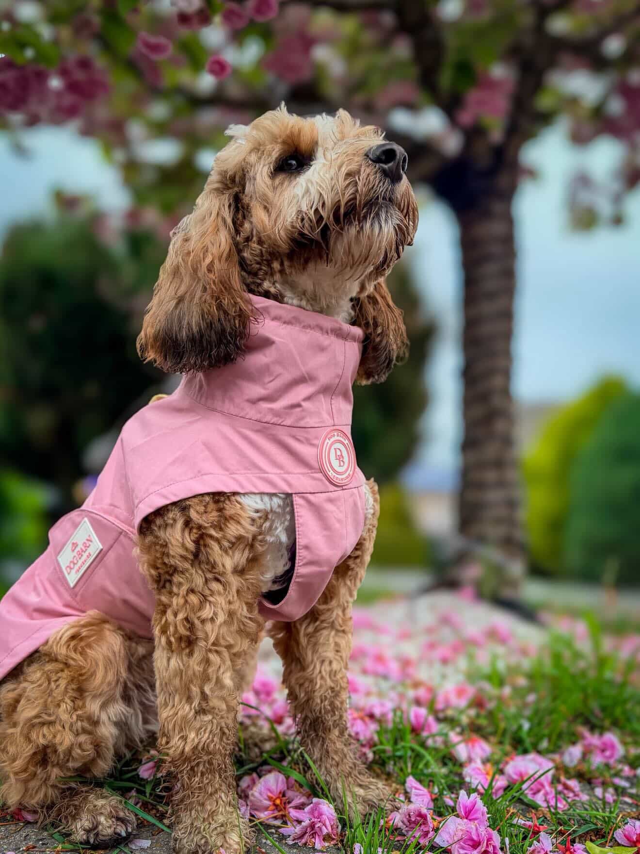 Blush Petal Rain Jacket