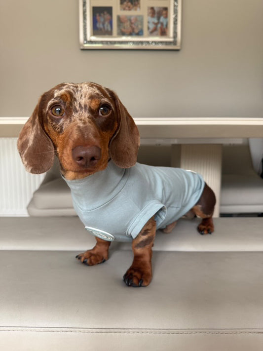 Dachshund Duck Egg Vale Summer T Shirt