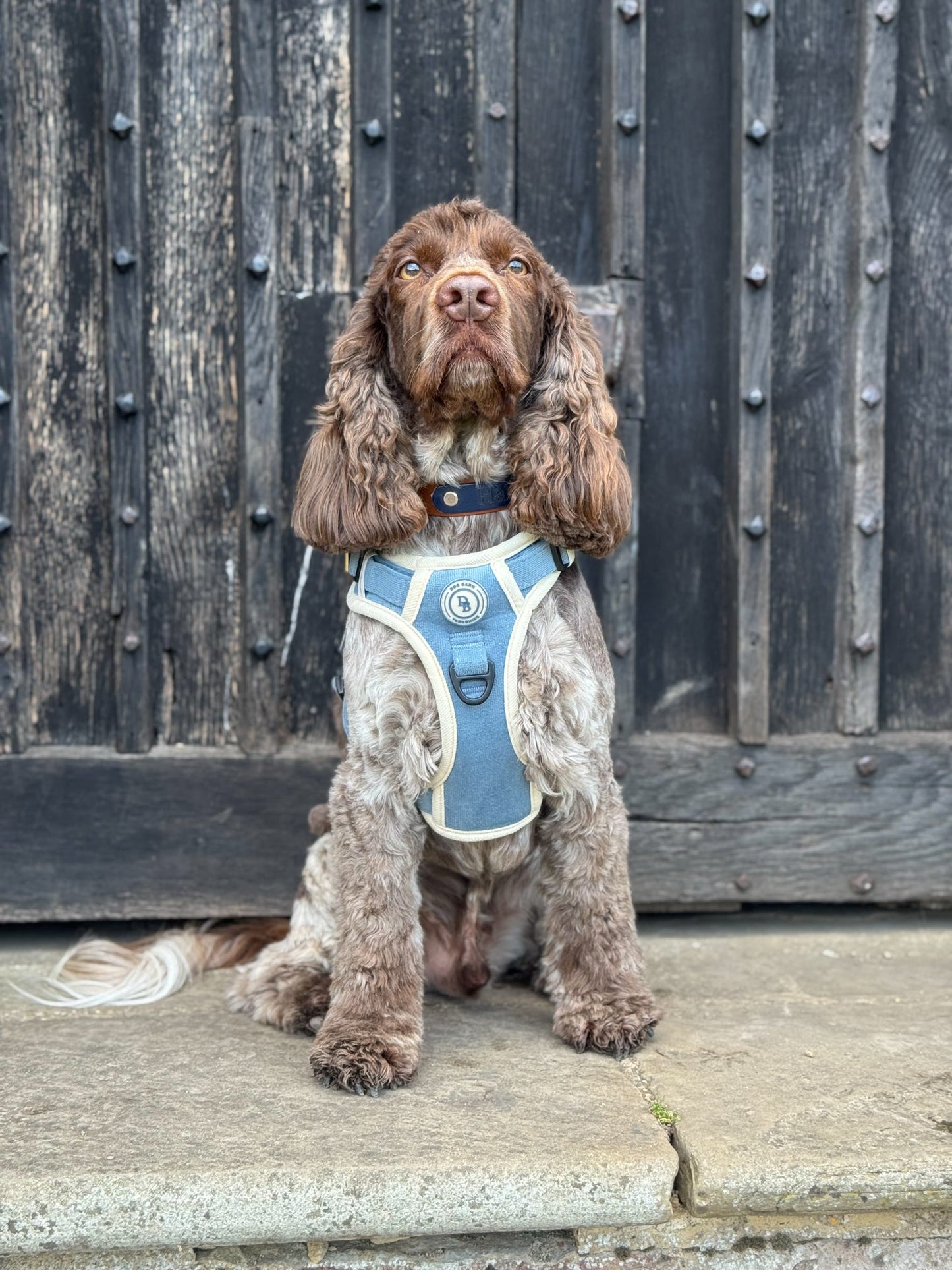Blue Sky Moor Adventurer (Corded) Bundle