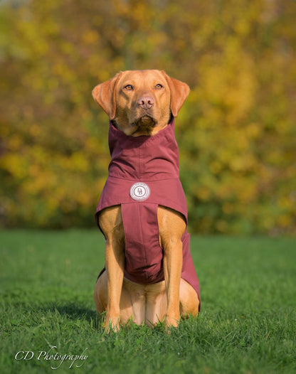 Berry Moors Rain Jacket