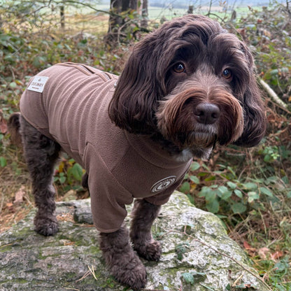 A dark brown curly-haired dog standing on a mossy log in an outdoor wooded setting, wearing a fitted taupe-brown dog sweater with white circular logo patches on the chest and back.