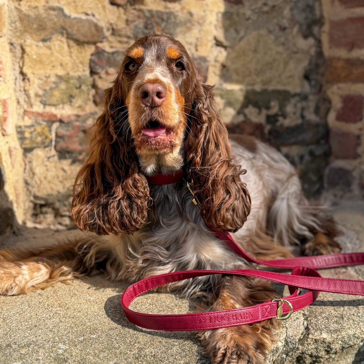 Berry Moors Heritage Leather Lead