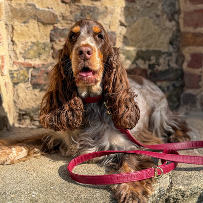 Berry Moors Heritage Leather Lead