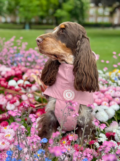 Blush Petal Rain Jacket