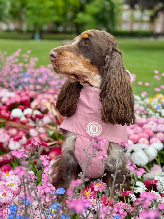 Blush Petal Rain Jacket