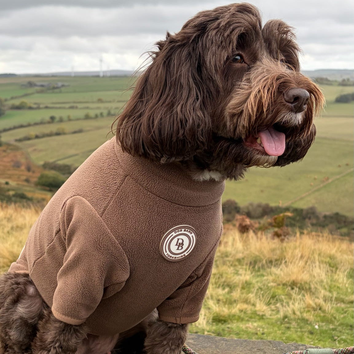 A brown dog sitting on a stone wall outdoors, wearing a brown fleece pet sweater with a circular white logo on the chest. The background shows a grassy field and cloudy sky.